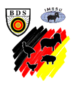 BDS Silhouettenschießen